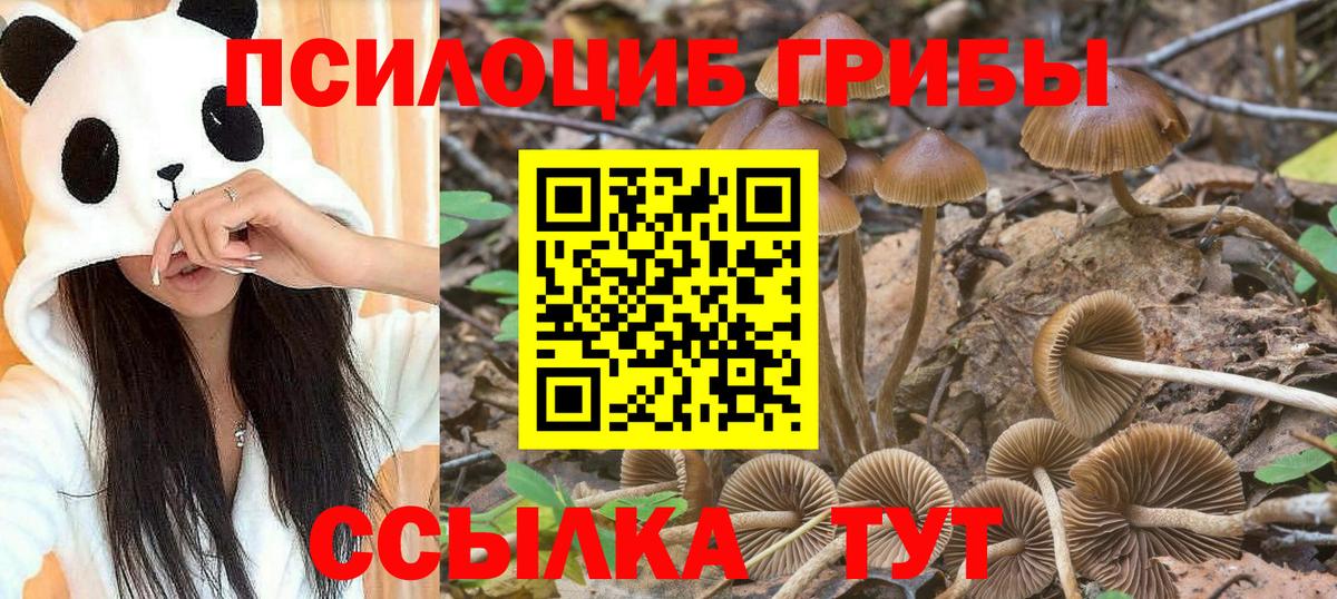 Галлюциногенные грибы ЛСД Светлоград