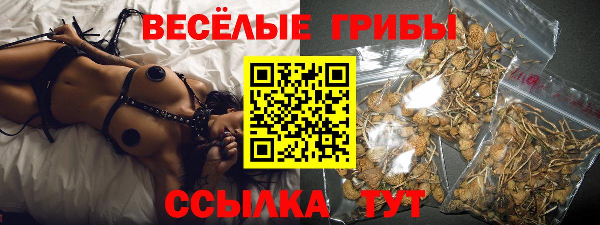 Псилоцибиновые грибы Psilocybine cubensis  Вход с VPN  Светлоград  цены   Галлюциногенные грибы Magic Shrooms 